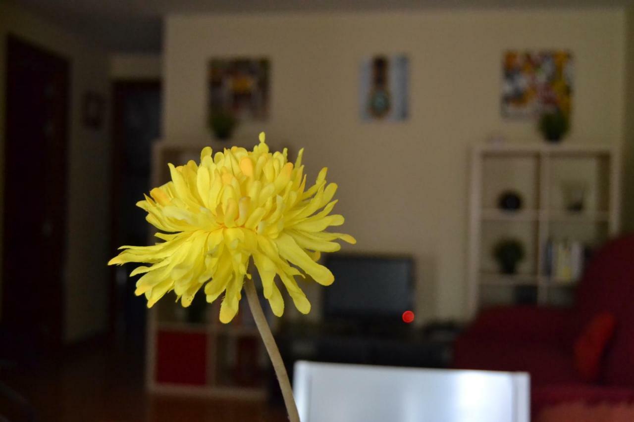 Apartamento Turistico Dct. Creus Γουαδαλαχάρα Εξωτερικό φωτογραφία